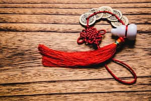 Chinese new year celebration still life