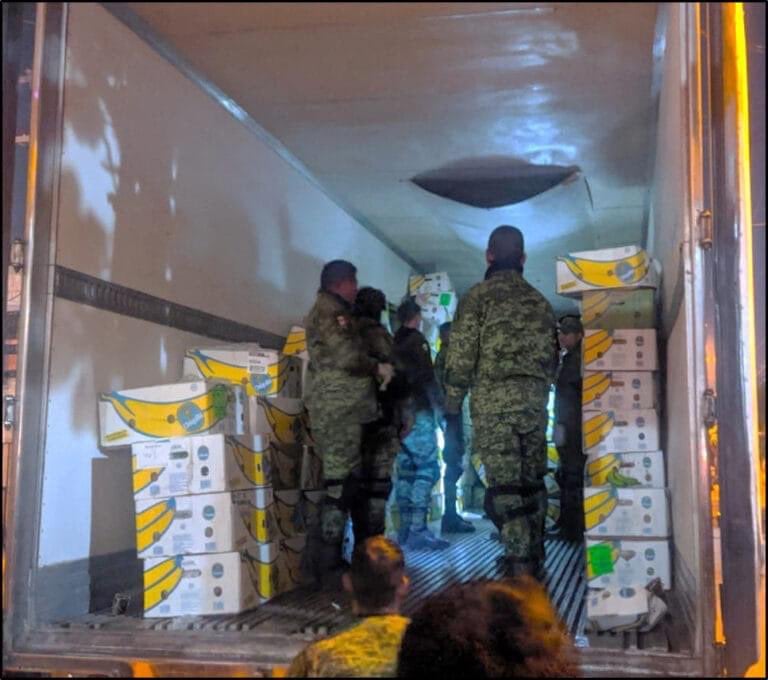 En la operación fue detenida una persona, que según se informó era la encargada del trasladar el alijo desde esa localidad, jurisdicción de Sinaloa, estado que ha sido blanco de acciones encaminadas al control del narcotráfico.