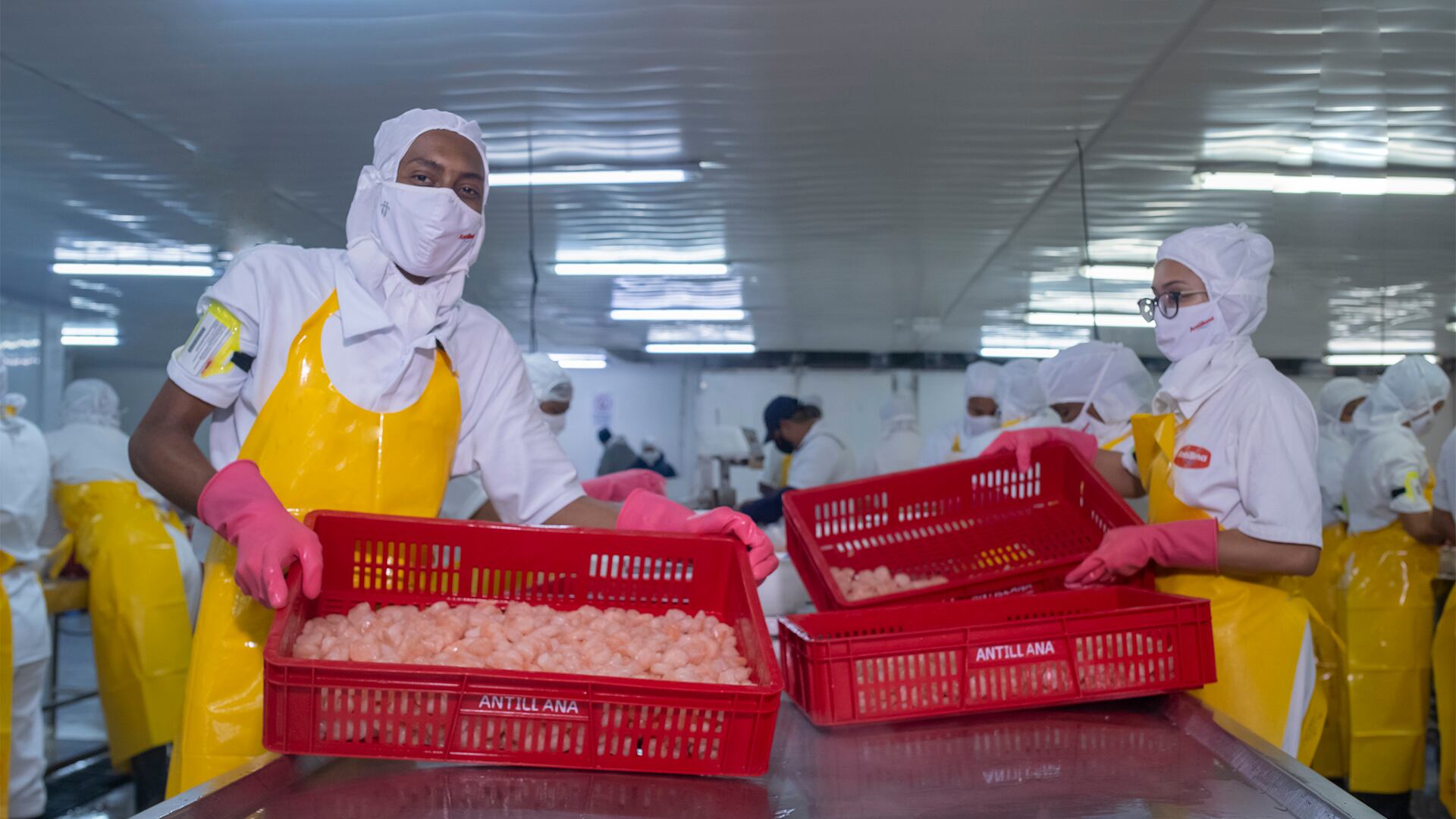 NO USAR, USO EXCLUSIVO MEJOR COLOMBIA, Especial Caribe, Antillana