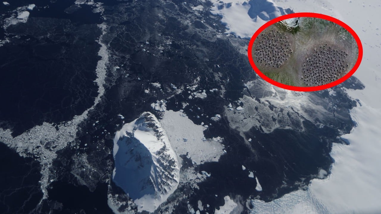 El misterio de los círculos gigantes en la Antártida fue resuelto gracias a un satélite de la NASA.
