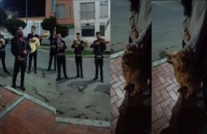 Familia despidió a su mascota con una serenata antes de practicarle la eutanasia.