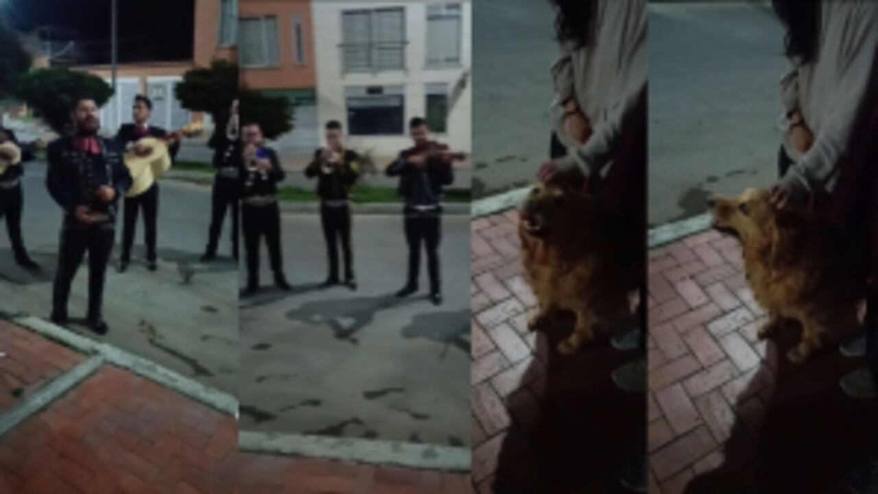 Familia despidió a su mascota con una serenata antes de practicarle la eutanasia.