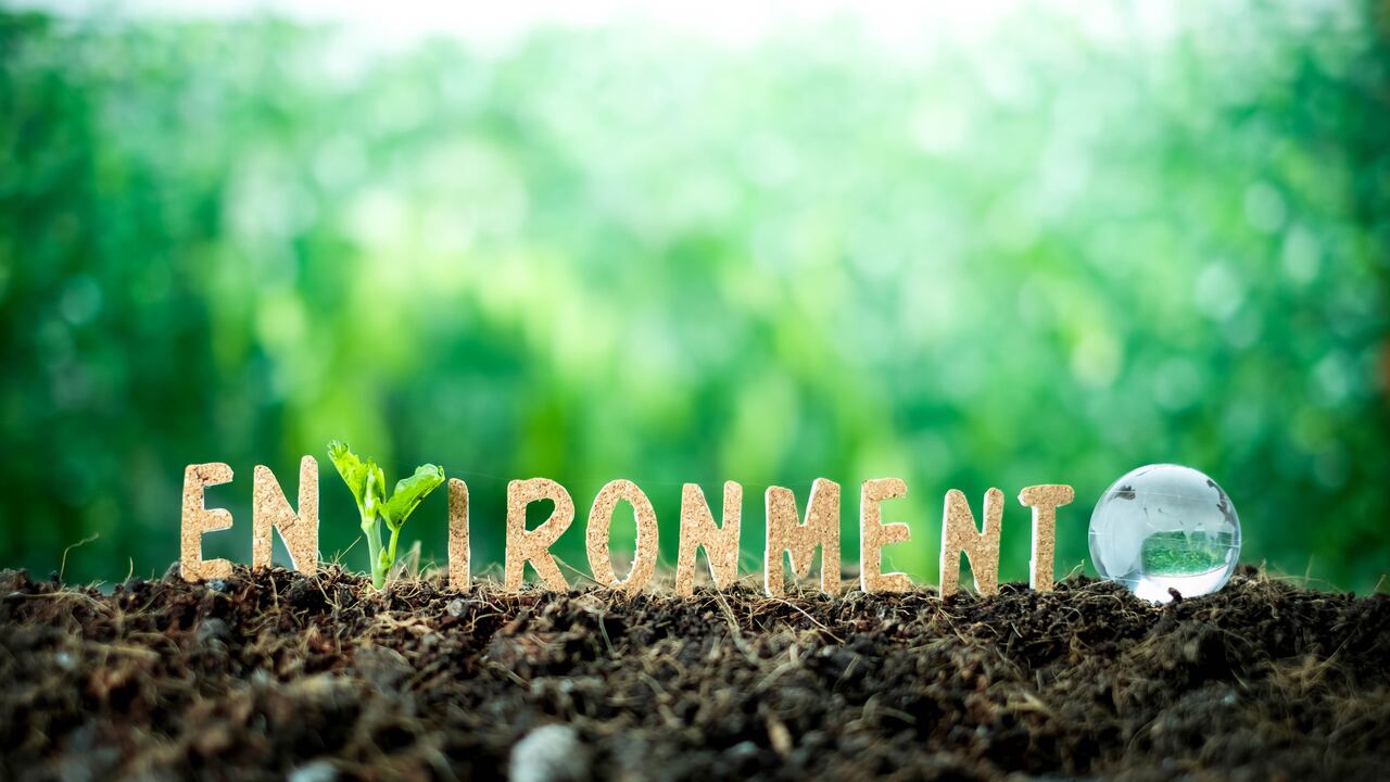 Consecuencias del sobregiro ecológico.