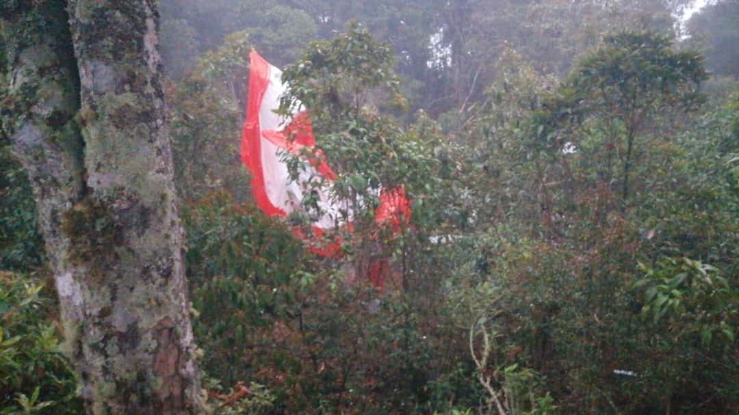 La avioneta cayó en la tarde de este miércoles 4 de octubre.
