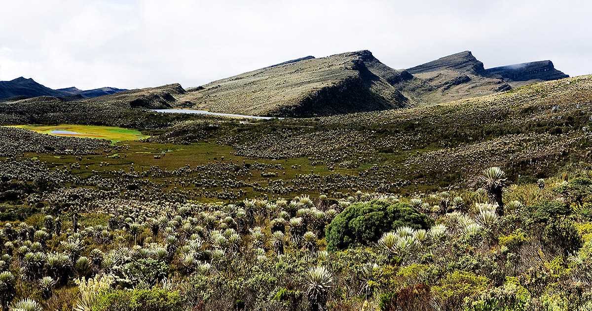 La Laguna de Los Tunjos está ubicada en el Páramo de Sumapaz, el más grande del mundo. 
