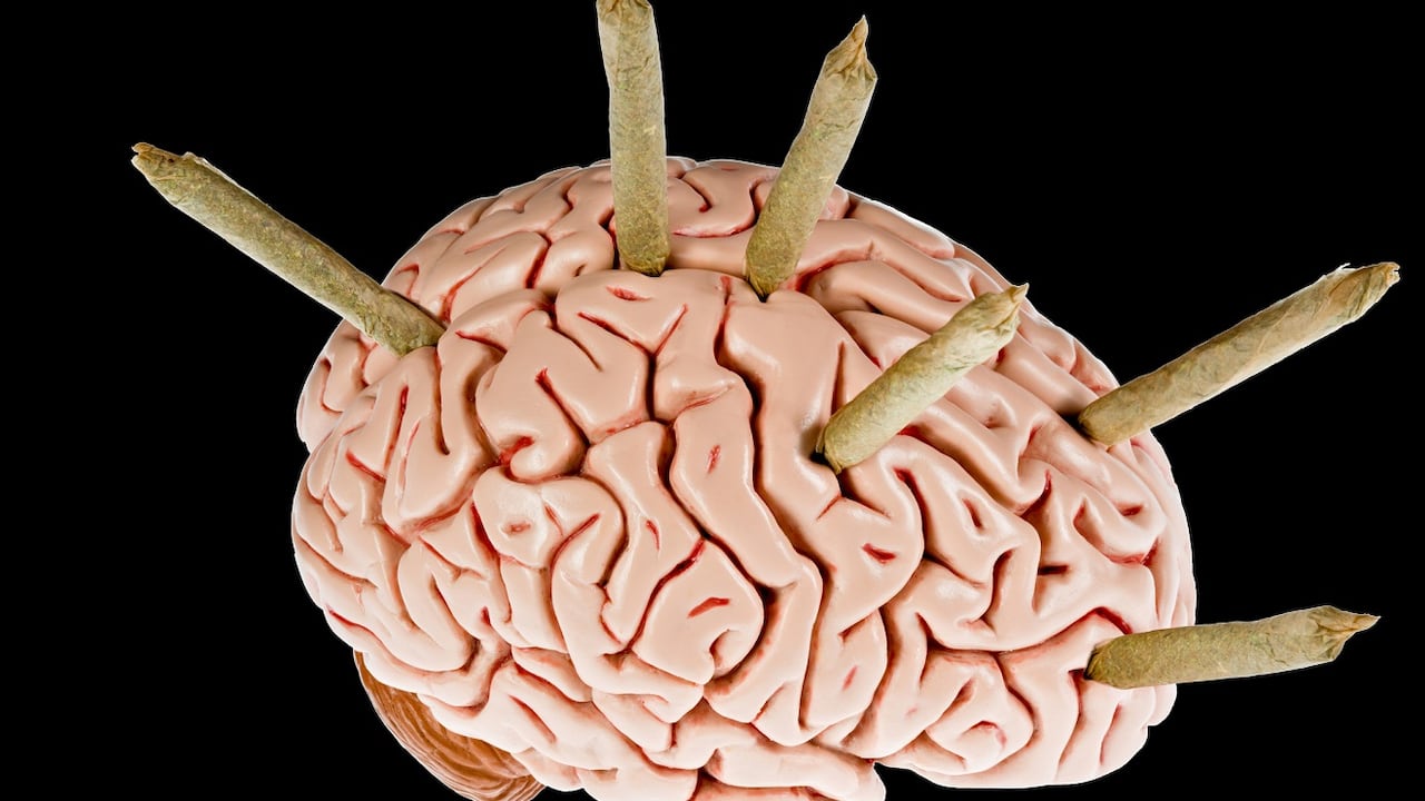 Marihuana-Cerebro