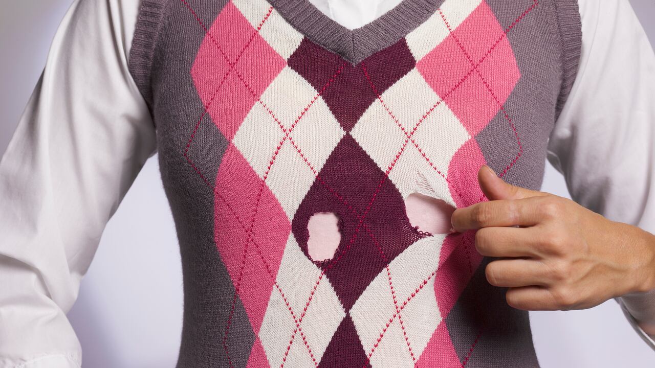 Las polillas son insectos que pueden dañar la ropa.