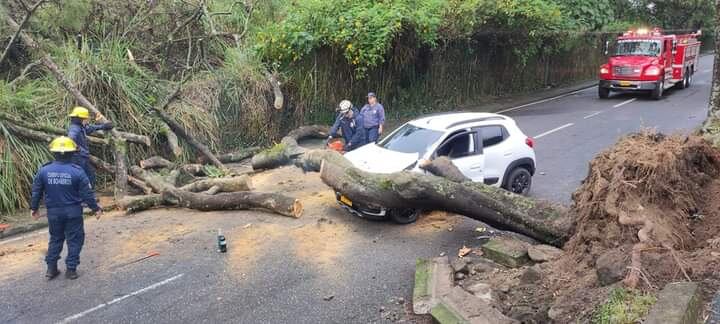 El vehículo particular que se movilizaba a la altura de la calle 37