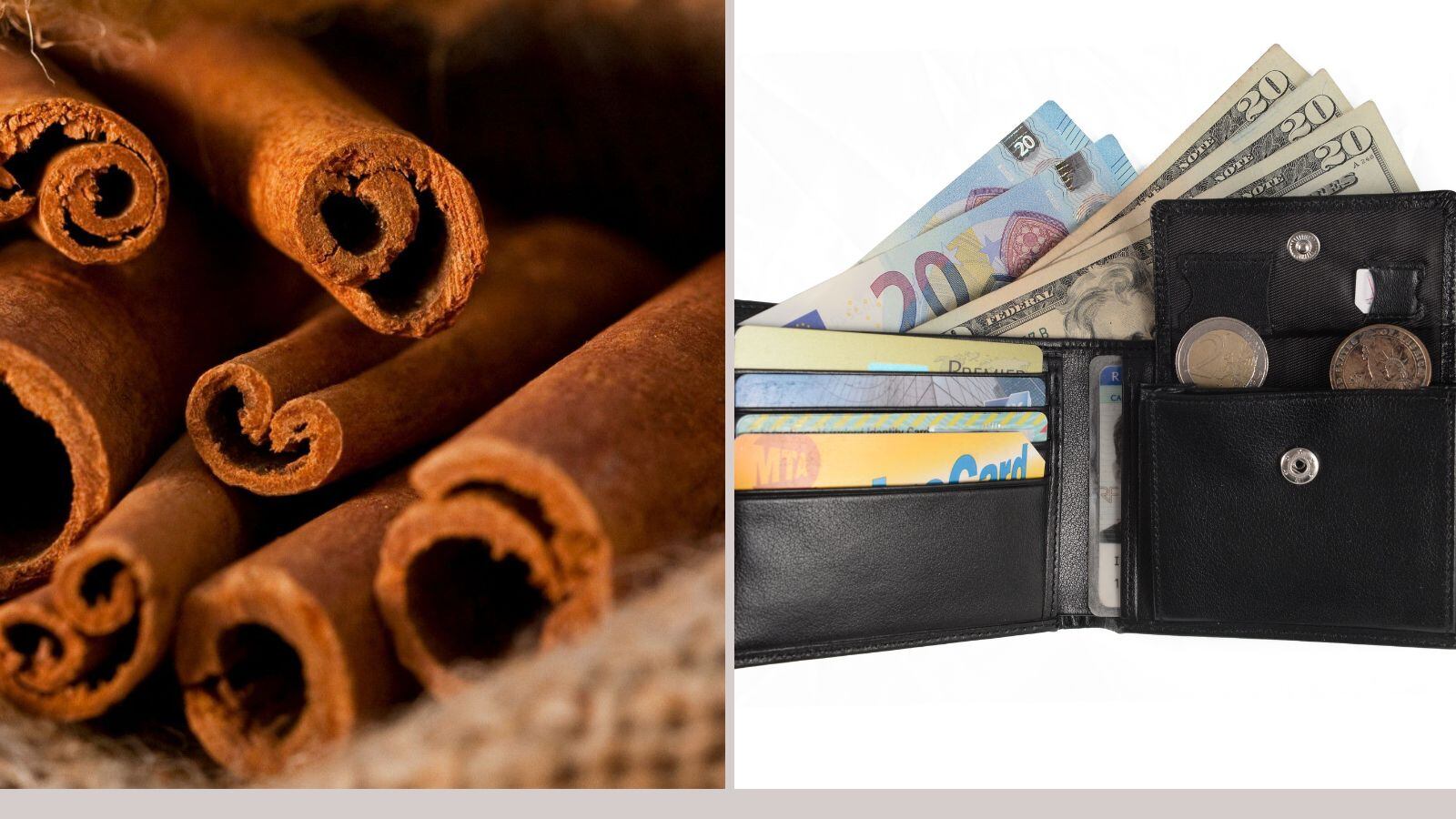 Colocar canela en en la billetera atraerá la prosperidad