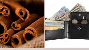 Colocar canela en en la billetera atraerá la prosperidad