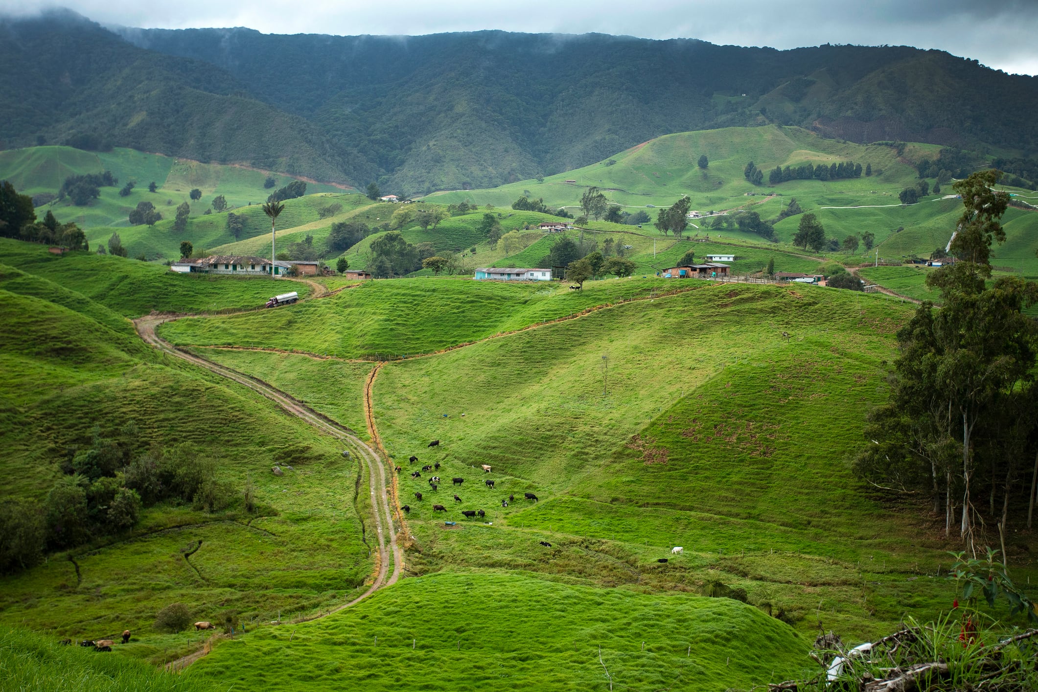 San Pedro de los milagros, Colombia.