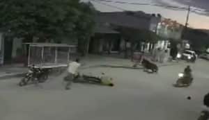 El momento quedó registrado en una cámara del lugar.