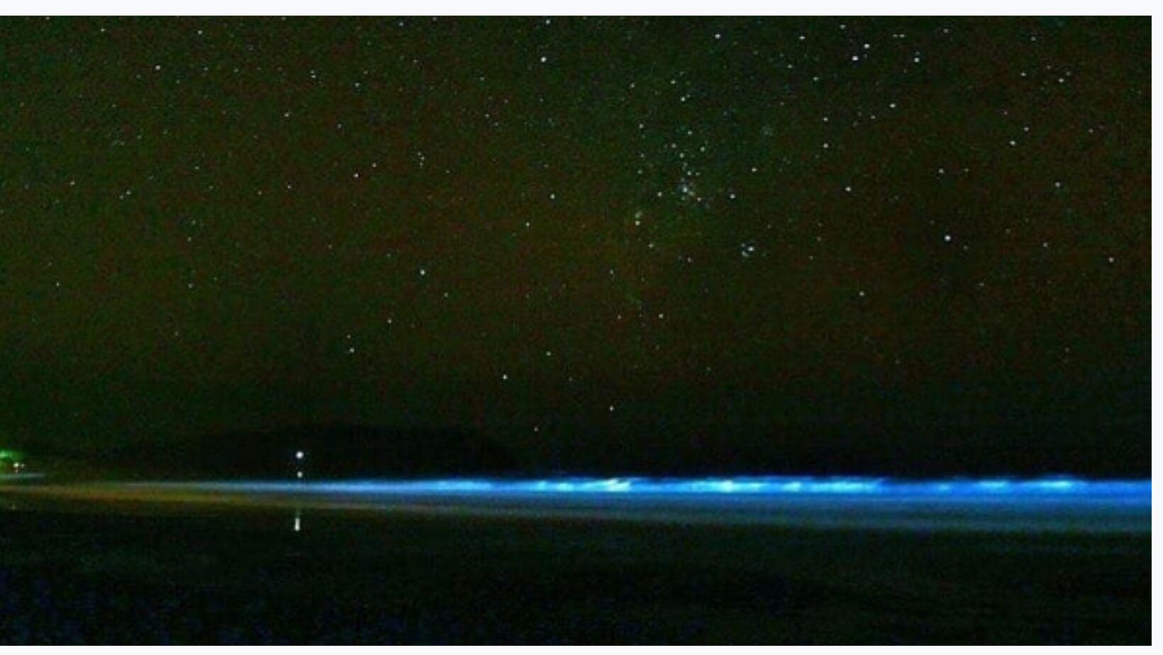 El fenómeno de las playas bioluminiscentes atrae a cientos de turistas
