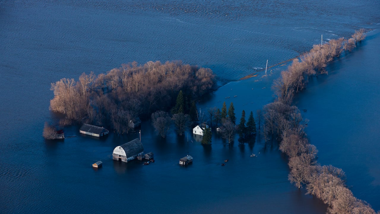 El psíquico dejó predicciones que muchos aseguran, se cumplirán.