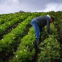 La feria reunirá a más de mil asociaciones y organizaciones de los 32 departamentos.