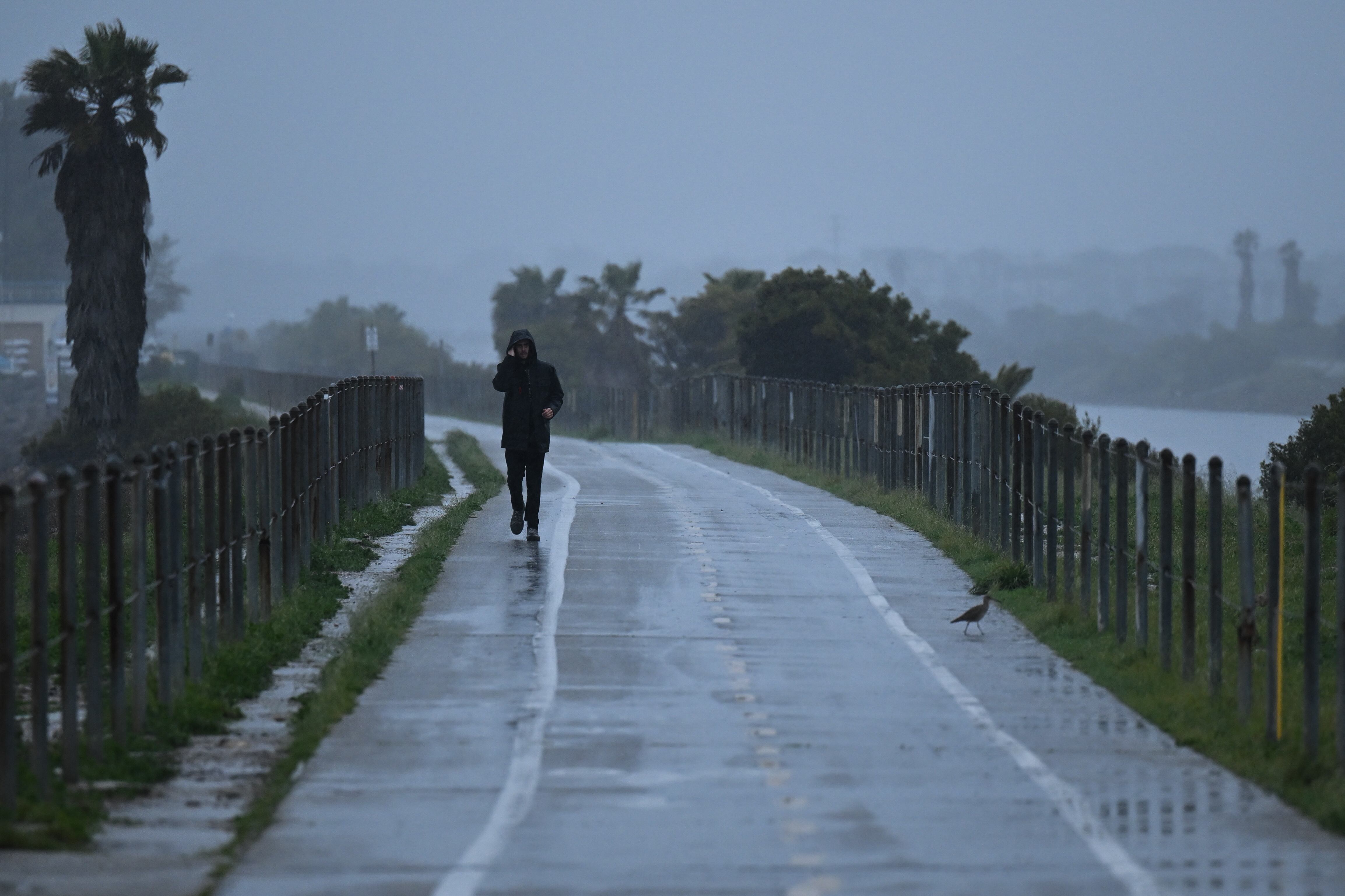 Una persona camina a lo largo de Ballona Creek mientras la escorrentía de agua pluvial de una tormenta de lluvia de invierno fluye hacia el Océano Pacífico en la comunidad de Marina Del Rey del condado no incorporado de Los Ángeles, California, el 14 de marzo de 2023. (Foto de Patrick T. Fallon / AFP)