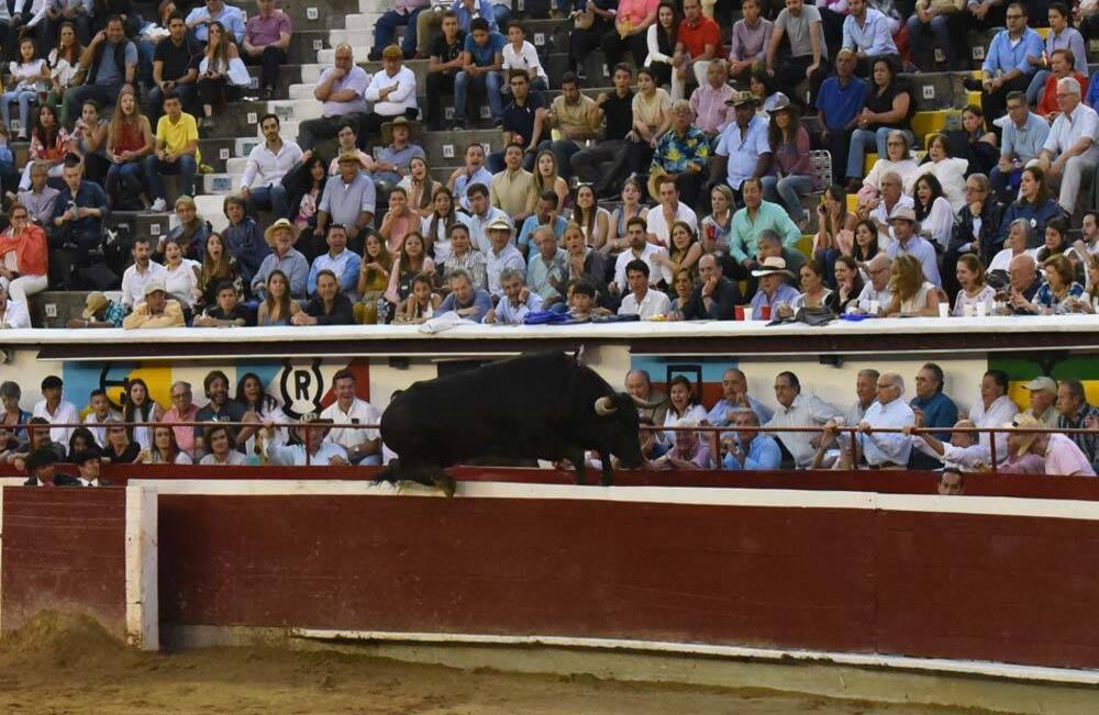 Adriano (Salento) saltó al callejón. Cali, 30 de diciembre de 2017