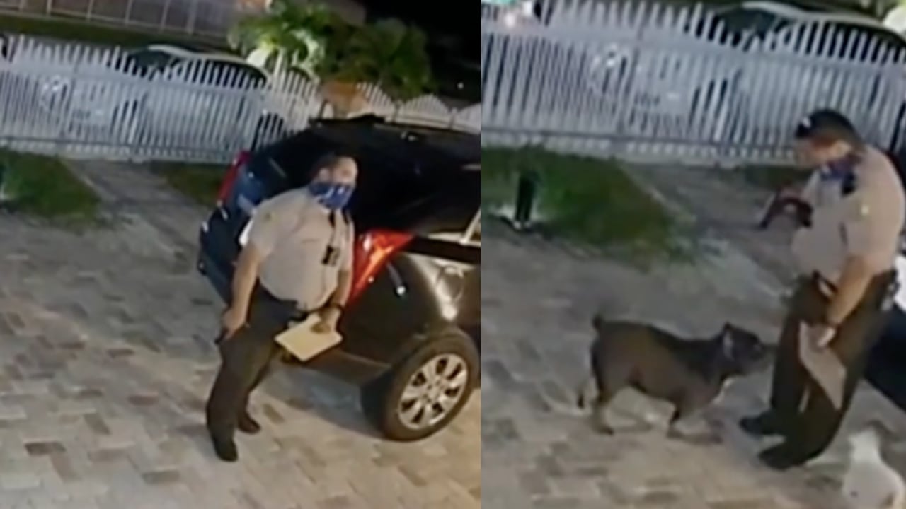 Momento exacto en que ocurre el incidente que termina con la muerte del animal.