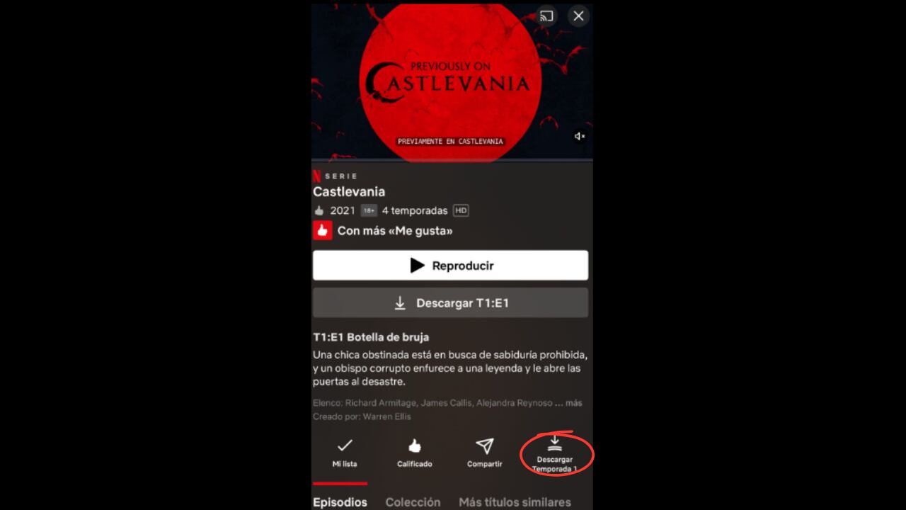 Al seleccionar este botón, la plataforma inicia automáticamente la descarga de todos los episodios de la temporada, simplificando el proceso para disfrutar del contenido sin conexión.