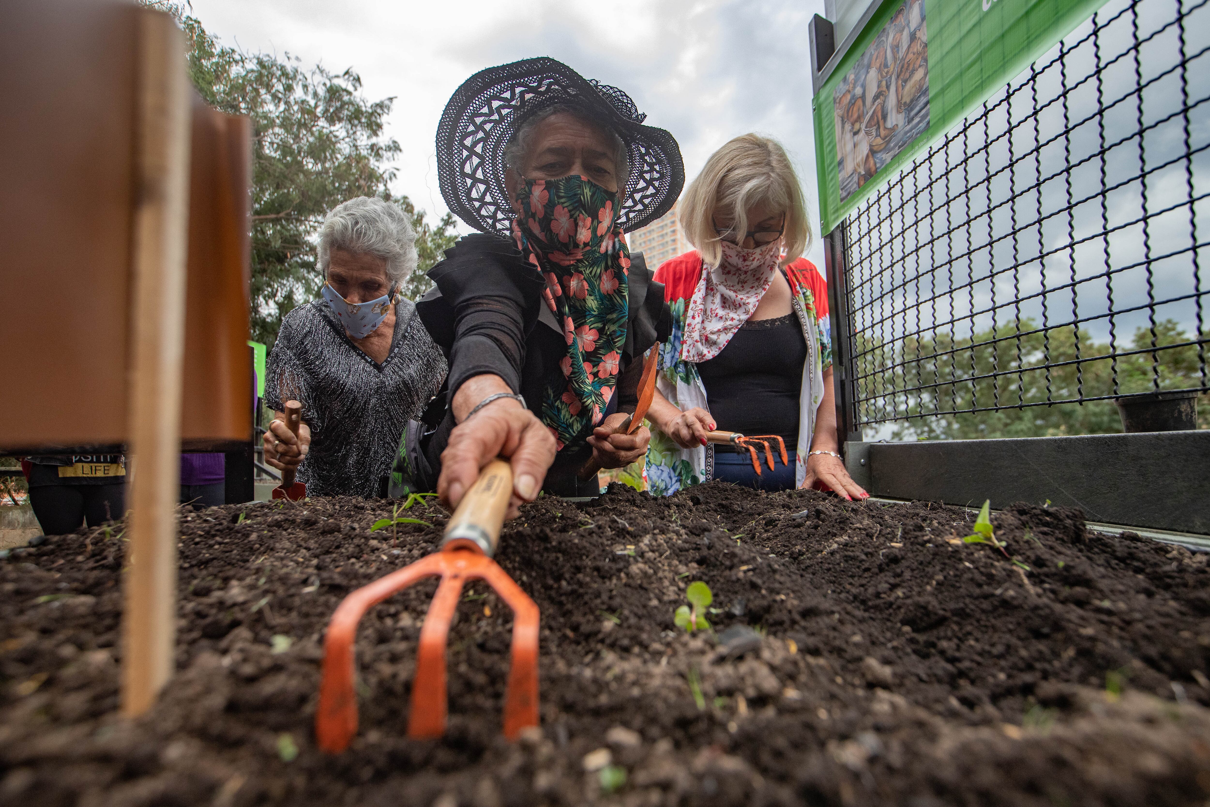 Tres trabajadoras sexuales vinculadas a proyectos del Museo de Antioquia, y a su huerta construida en el parqueadero.