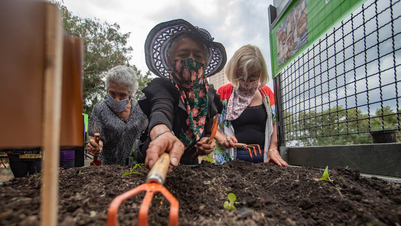 Tres trabajadoras sexuales vinculadas a proyectos del Museo de Antioquia, y a su huerta construida en el parqueadero.