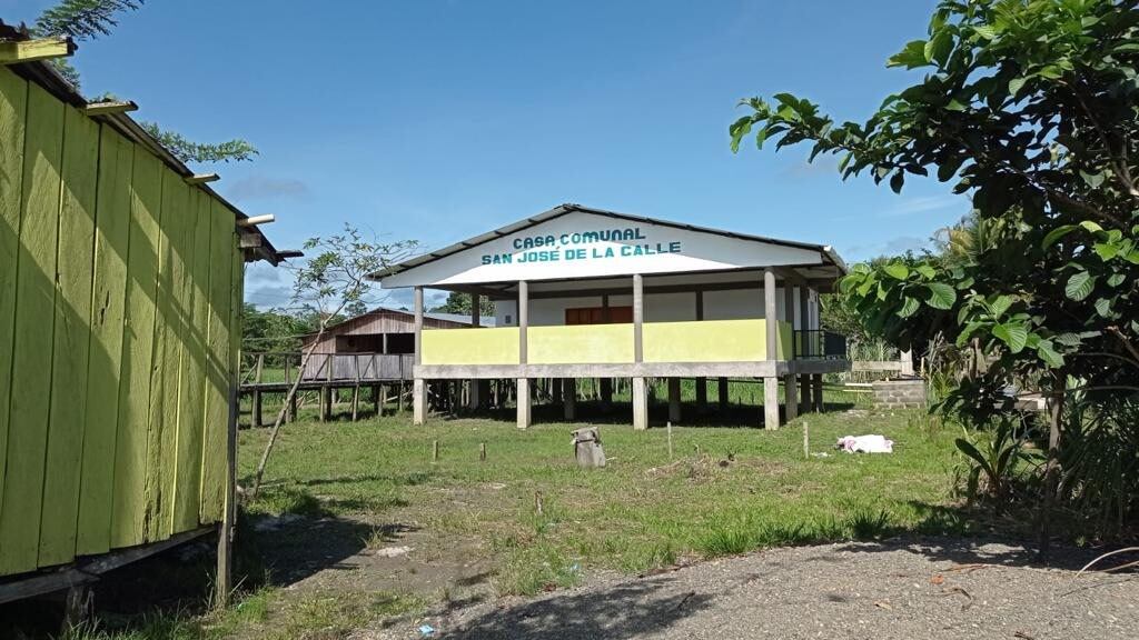 Proyecto forestal en Pacífico