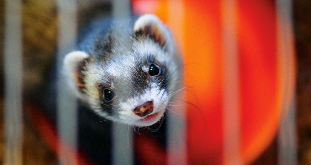 el primer viaje en cápsula_5