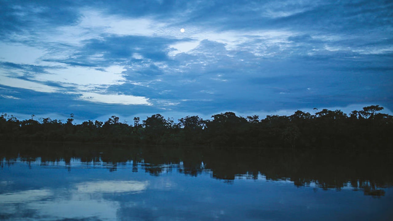 El 10 de noviembre de 2016 fue el día en que se profirió este histórico fallo, el tercero de su tipo en el mundo.