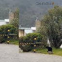 Un encuentro poco común sorprendió a habitantes de un condominio en La Calera