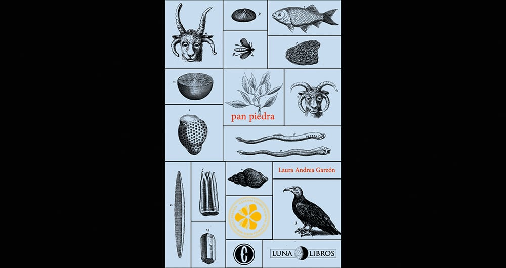 15 voces para la Filbo_15