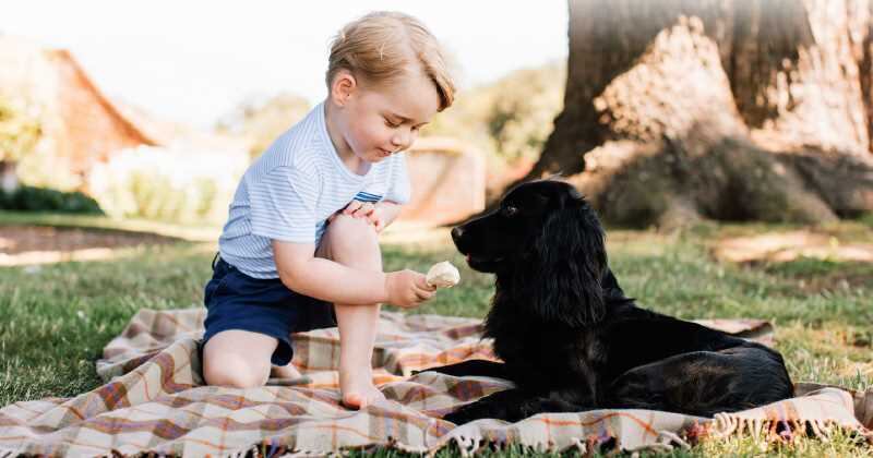 La foto oficial de George en su tercer cumpleaños, en 2016, se la tomó su propia madre. 