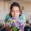 Estas plantas también tienen propiedades que ayudan a la salud y a combatir los insectos.