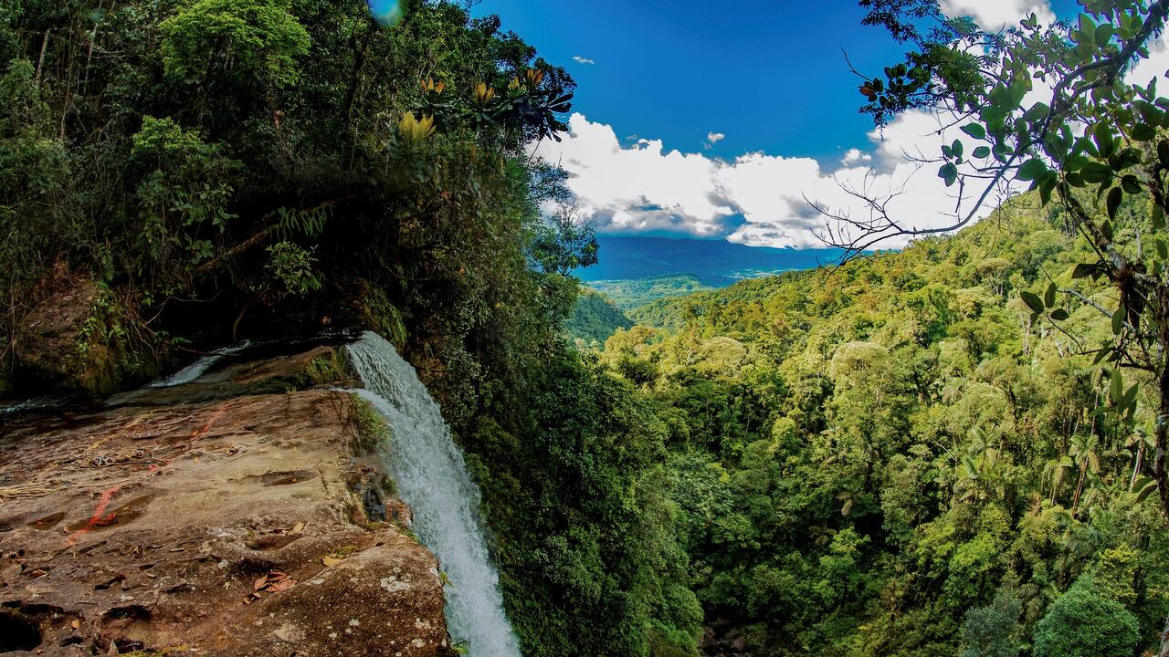 Parte del macizo colombiano fue declarado por la Unesco como ‘Reserva de la Biosfera del Cinturón Andino’.