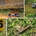 Así quedó la escena del crimen: la camioneta Toyota Prado se salió de la vía, producto del ataque, y en la zona quedaron más de 40 casquillos de bala.