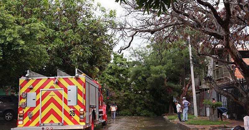 Los fuertes vientos durante la ola invernal en Barranquilla generó varias emergencias.