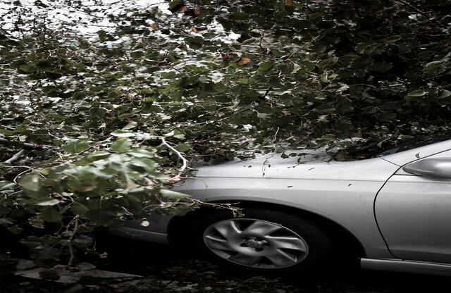 Con Halloween, una de sus celebraciones más tradicionales, Nueva York trató de volver a la normalidad y superar una de las peores catástrofes naturales de los años recientes, que se ha saldado por ahora con una treintena de víctimas mortales en esa ciudad.