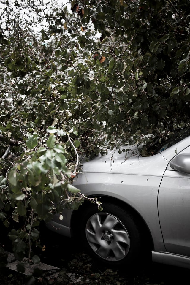 Con Halloween, una de sus celebraciones más tradicionales, Nueva York trató de volver a la normalidad y superar una de las peores catástrofes naturales de los años recientes, que se ha saldado por ahora con una treintena de víctimas mortales en esa ciudad.