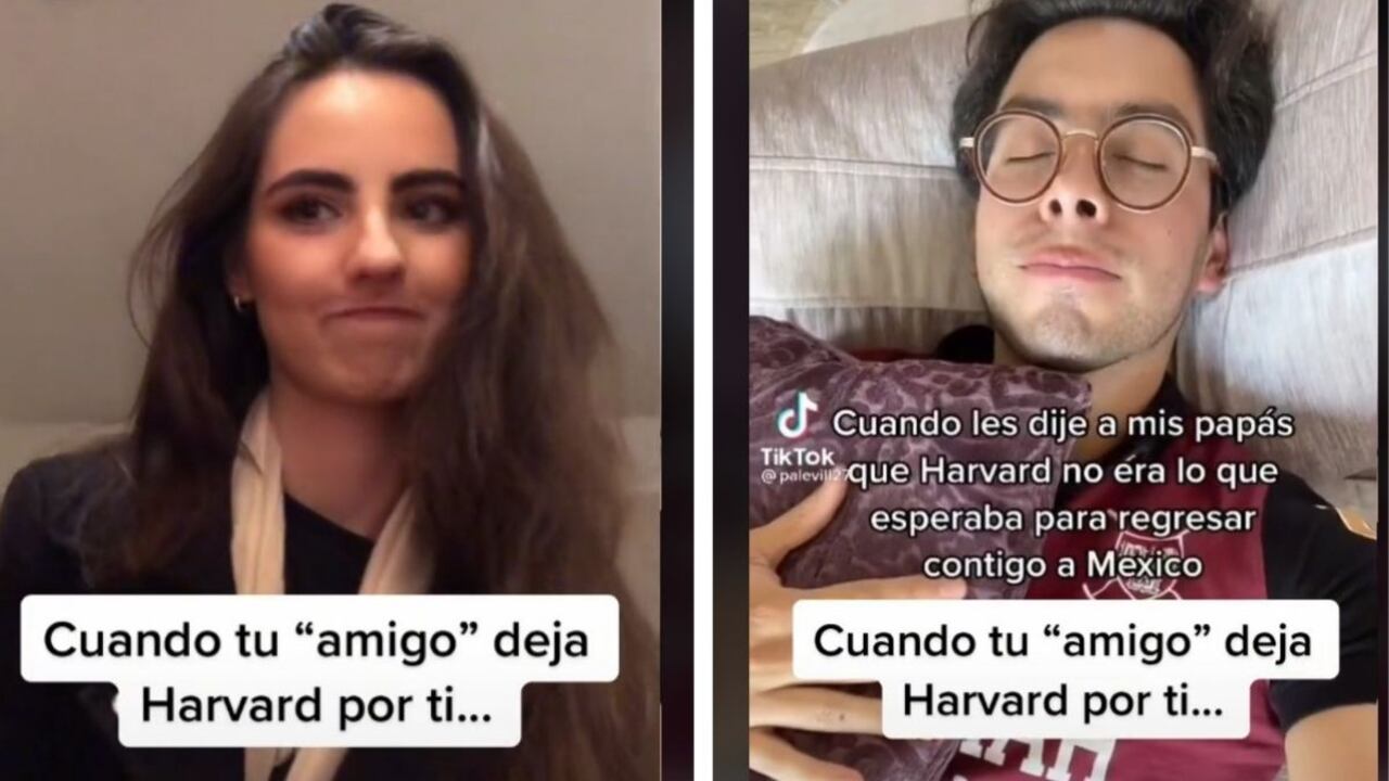 Joven contó que dejó Harvard por el amor de una chica que lo mandó a la friendzone y ella le respondió