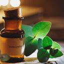 Eucalyptus essential oil in an old brown bottle.