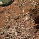 Imagen de referencia y no corresponde al hecho. Cortesía segunda División del Ejército.