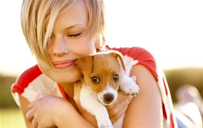 Será ese fiel compañero de aventuras y viajes e incluso le brindará momentos de humor con alguna travesura que haga durante sus primeros años. Foto: Ingimage