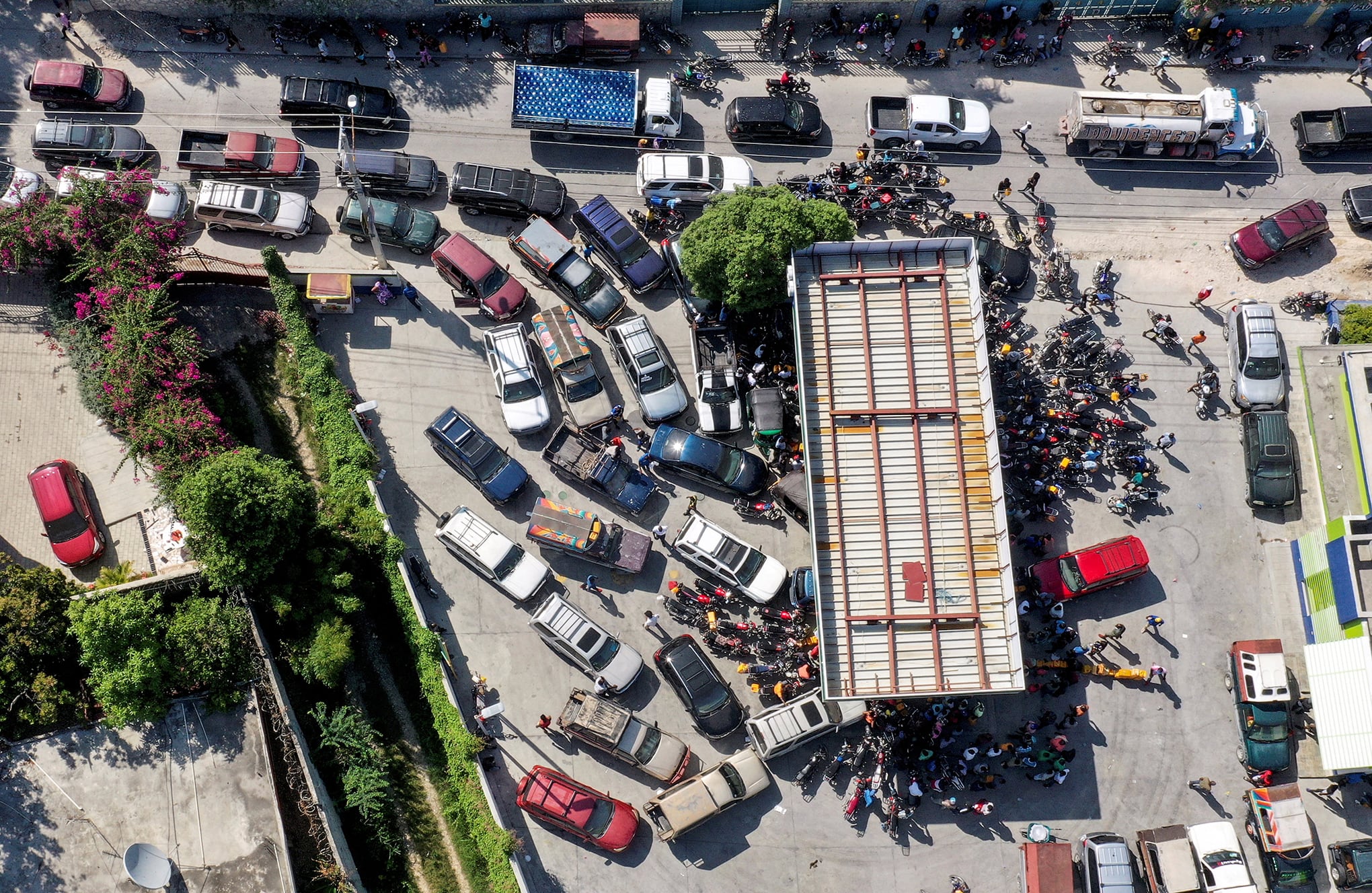 Fotos de la semana 5 nov