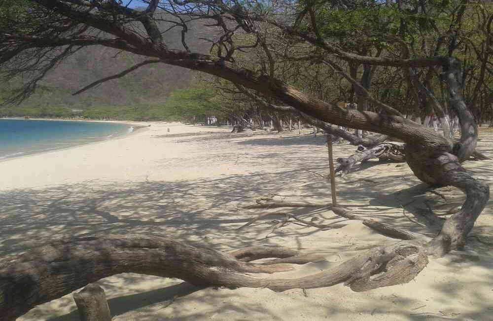 Foto: Parques Nacionales Naturales