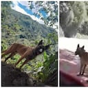 Wilson se perdió desde el pasado 6 de junio.