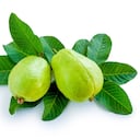 Las hojas de guayaba son medicinales