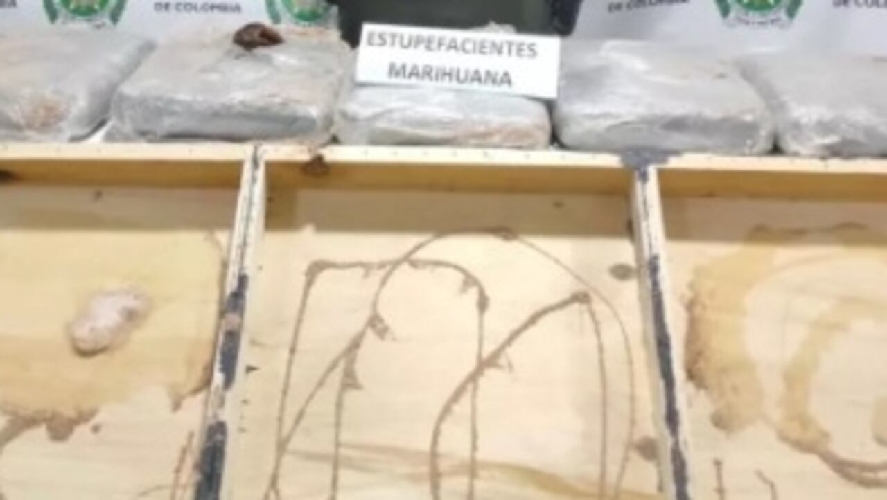 El hallazgo se produjo en el barrio San Vicente de Cali.