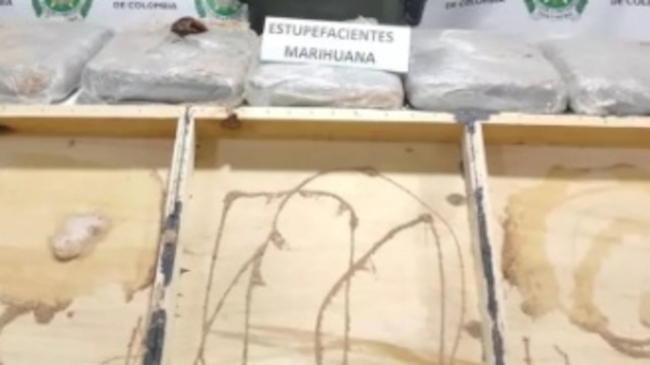 El hallazgo se produjo en el barrio San Vicente de Cali.