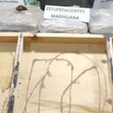 La persona que estaba a cargo del traslado y el alucinógeno, quedaron a disposición de las autoridades.