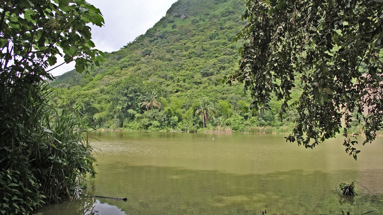 Aunque ha perdido más de la mitad de su espejo de agua, la laguna ha sido objeto de jornadas de limpieza y retiro de buchón.
