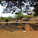 El crimen ha generado gran conmoción en el Valle.